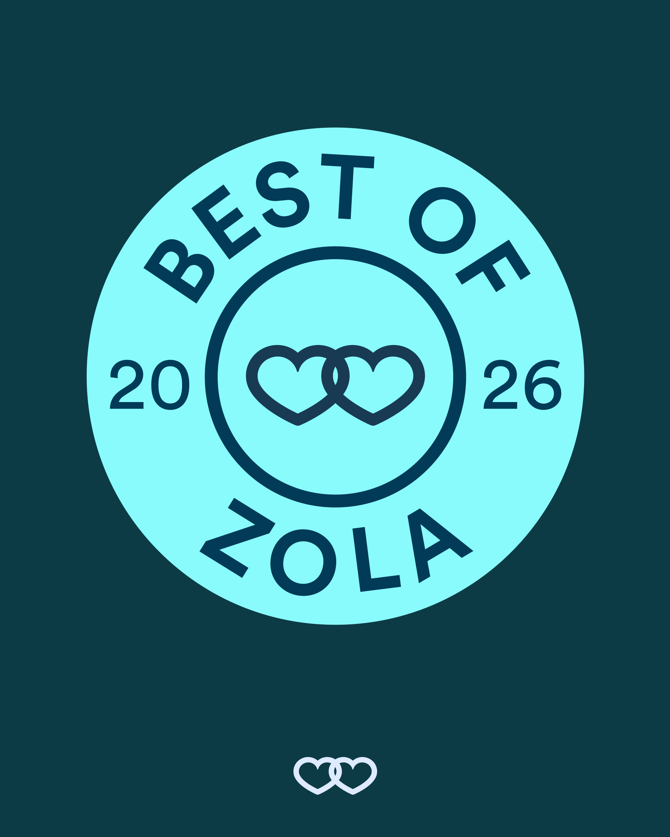 zola videographer, zola weddings, wedding videographer, chicago wedding videographer